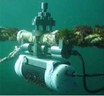 1649581702(1).jpg 1649581702(1).jpg