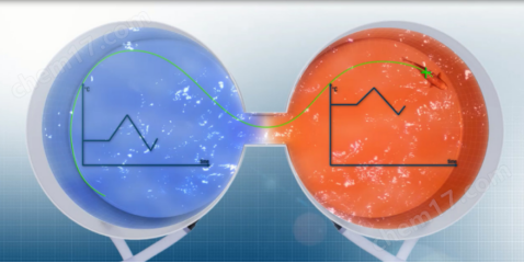 穿梭池图片.jpg Loligo鱼类行为学穿梭池—环境因子调控