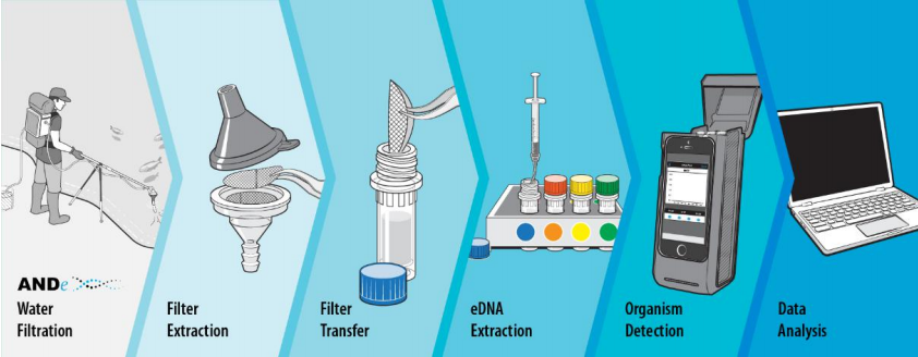 采样流程图片.png 采样流程图片.png