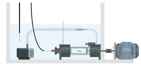 1659942034614.jpg 1659942034614.jpg