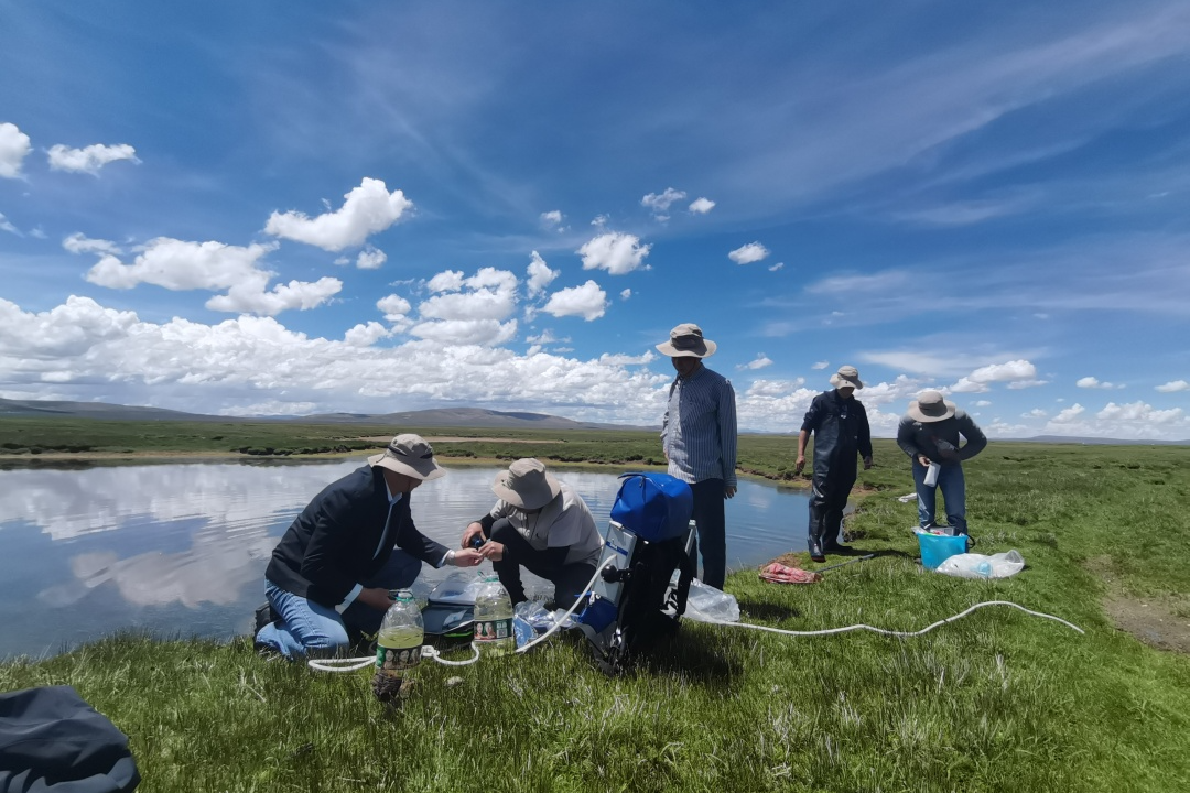 9c21f2b2a0e38b11d54f1f203a64a11.png 9c21f2b2a0e38b11d54f1f203a64a11.png