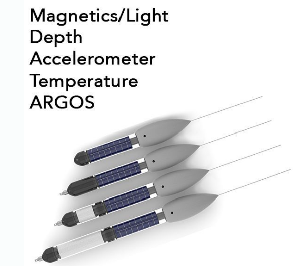 鱼类卫星标记.png 鱼类卫星标记.png