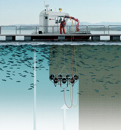 AKVA渔网清洗机 图片.jpg