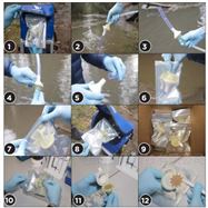 SKU11746eDNA Self-preserving Fliter Pack过滤器