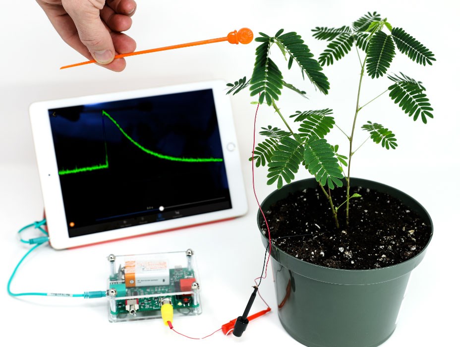 The Plant SpikerBox.jpg