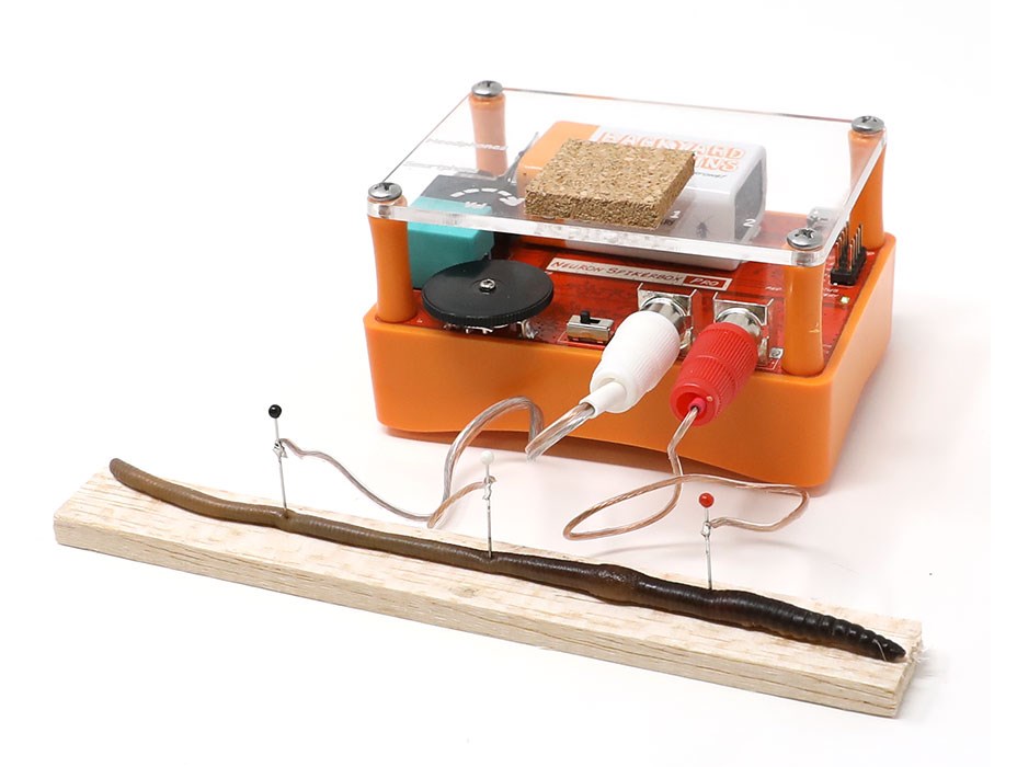 The Neuron SpikerBox Pro.jpg